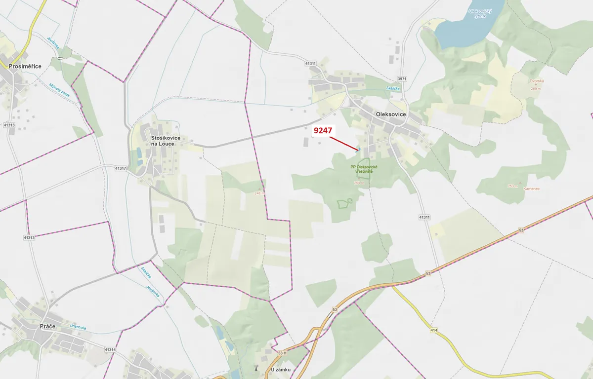 Dražba lesa 550 m²